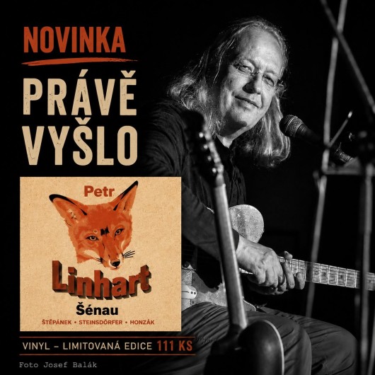 senau-vinyl-plakat.jpg