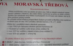 Kliknutím na obrázek zobrazíte fotografii v plné velikosti