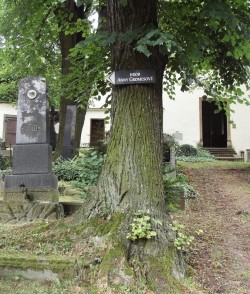 Kliknutím na obrázek zobrazíte fotografii v plné velikosti