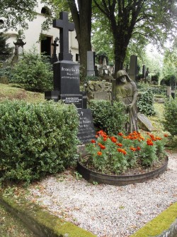 Kliknutím na obrázek zobrazíte fotografii v plné velikosti