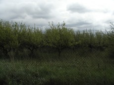 Kliknutím na obrázek zobrazíte fotografii v plné velikosti v novém okně