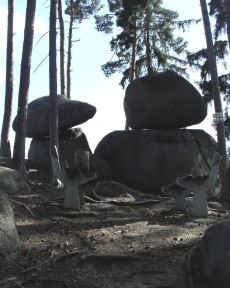 Kliknutím na obrázek zobrazíte fotografii v plné velikosti