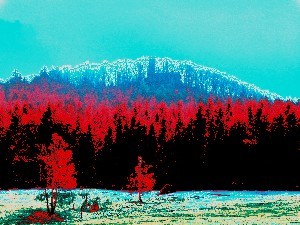 Přízračná Vlčí hora, Rumbursko